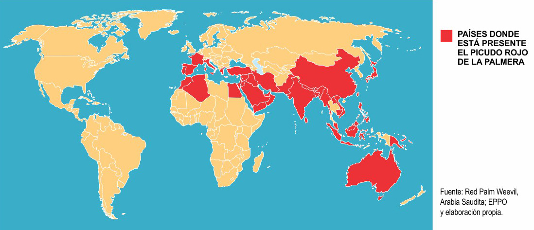 Distribución mundial del rhynchophorus ferrugineus